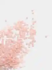Пастельно-коралловый бисер чешский Preciosa, Чехия, № 10, Natural Opaque