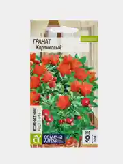 Семена Гранат "Карликовый"
