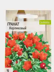 Семена Гранат "Карликовый"