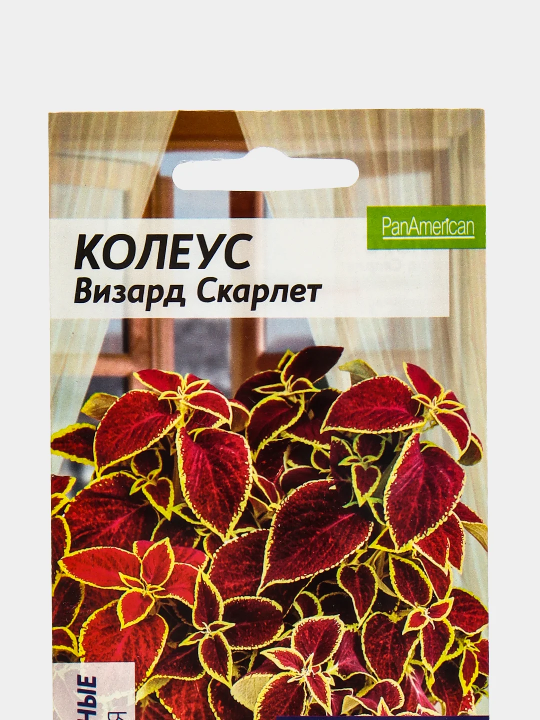 Семена цветов Колеус "Визард Скарлет"