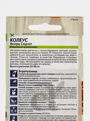 Семена цветов Колеус "Визард Скарлет"