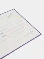 Диплом выпускника начальной школы, 10 шт, 20 шт, анкета внутри, размер 130*210 мм