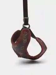 Коричневый шлейка с поводком прогулочная для собак и кошек, кожа