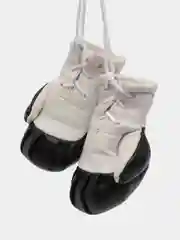 Ароматизатор воздуха New Galaxy "Боксерские перчатки"