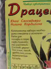 Субстрат "Драцена"