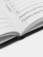 Дневник универсальный "Благородная кошка", твердая обложка 7 БЦ, глянцевая