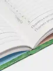 Зеленый дневник школьный для 1-11 класса, твёрдая обложка