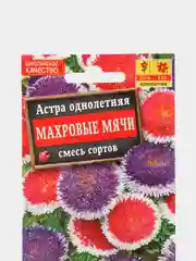 Семена цветов Астра "Махровые мячи", смесь окрасок, О, 0,1 г