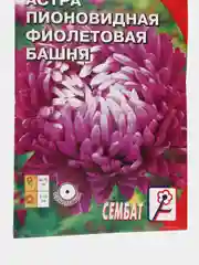 Семена цветов Астра пионовидная "Фиолетовая Башня", 0,2 г