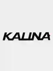 Комплект Black Edition, шильдики крышки багажника и решетки радиатора Лада Калина 1