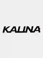 Комплект задний Black Edition, шильдики на крышку багажника Лада Калина2