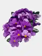 Пурпурный искусственные цветы. Фиалки (букет). Композиция
