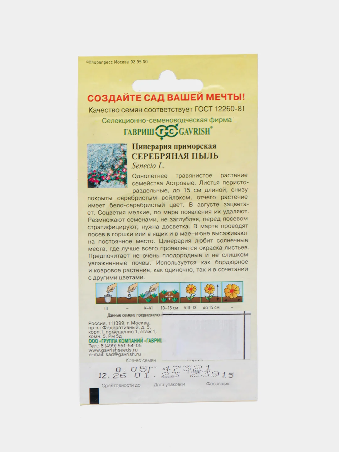 Семена цветов Цинерария Серебряная пыль