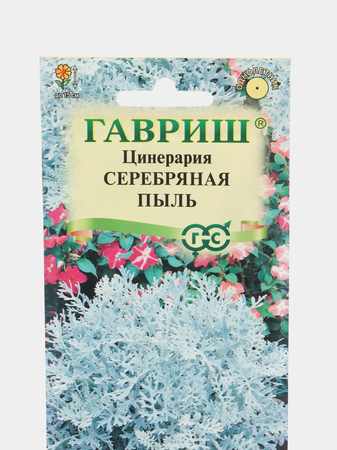 Семена цветов Цинерария Серебряная пыль