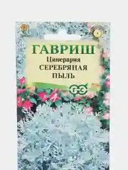 Семена цветов Цинерария Серебряная пыль