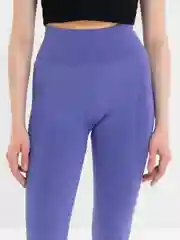 Аметистовый легинсы женские, бесшовные, с высокой талией
