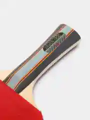Багровый ракетка для настольного тенниса STAYER 1200, 1800 профессиональная
