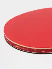 Бордовый ракетка для настольного тенниса STAYER 1200, 1800 профессиональная