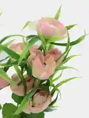 Розовый искусственные цветы осока, трава, зелень с розочками, камелиями
