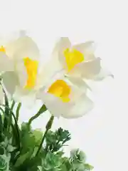 Белый искусственные цветы нарциссы, букет