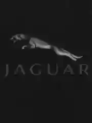 Ароматизатор для автомобиля с логотипом "Jaguar" (Ягуар)