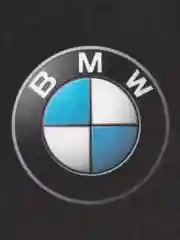 Ароматизатор для автомобиля с логотипом "BMW" (БМВ)