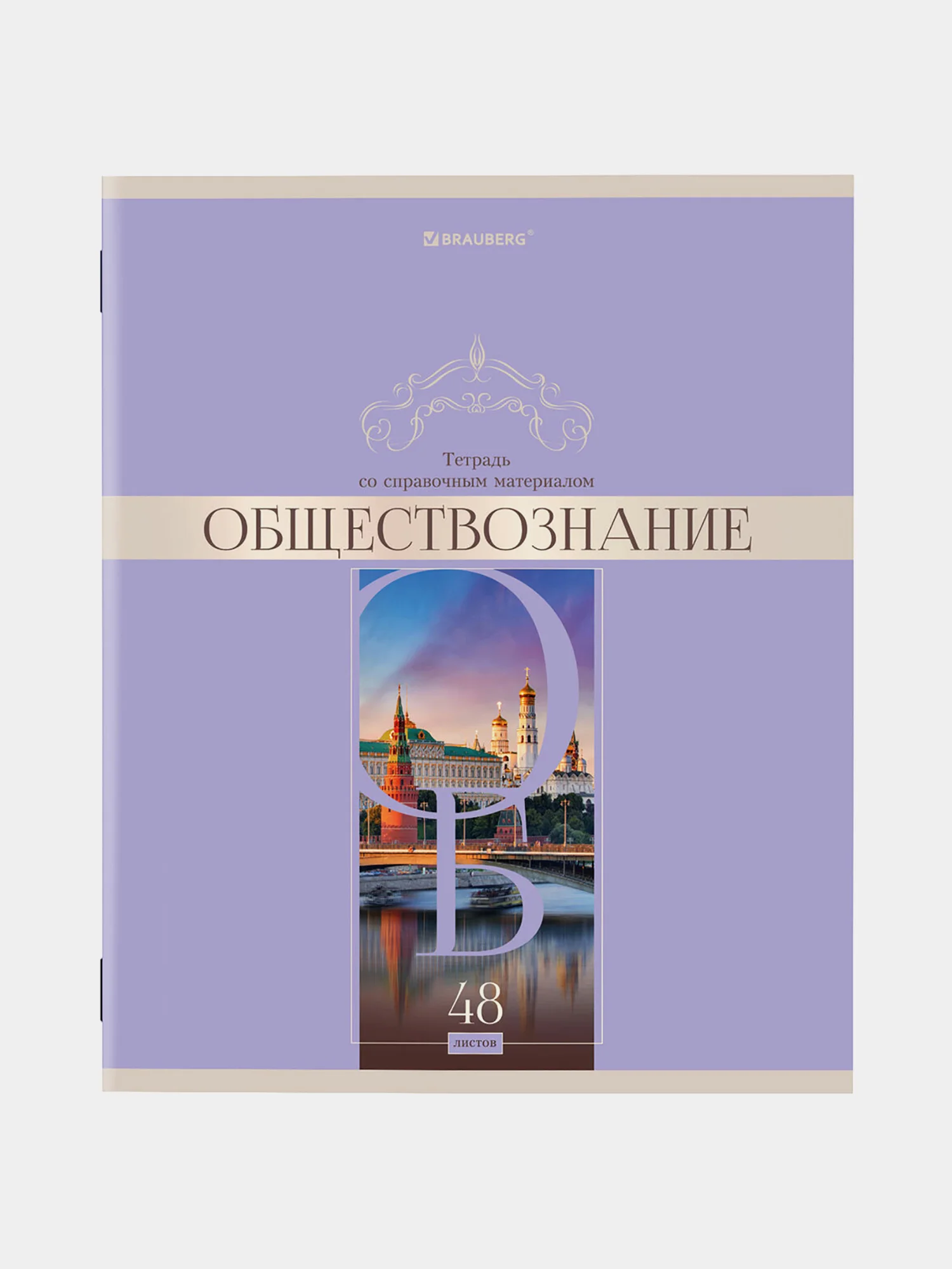Тетради предметные школьные со справочным материалом 12 штук 48 листов Brauberg, 404606
