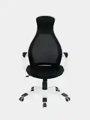 Кресло офисное BRABIX PREMIUM Genesis EX-517, пластик белый, ткань/экокожа 531573