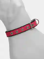 Вишнёвый ошейник для домашних животных, нейлоновый с подкладкой, разноцветные