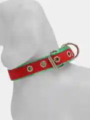 Марсала ошейник для домашних животных, нейлоновый с подкладкой, разноцветные