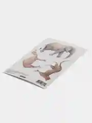 Белый интерьерные, декоративные детские наклейки, на окна и стены