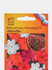 Семена цветов Бальзамин Уоллера "Имара"