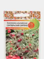 Семена Земляника "Сентябрьский сюрприз"