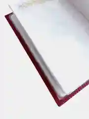 Обложка для листов паспорта, 10 штук