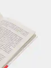 Книга "Иду в президенты", Наталья Карпович