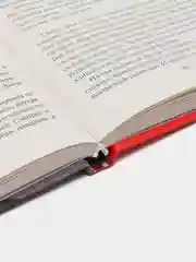 Книга "Иду в президенты", Наталья Карпович
