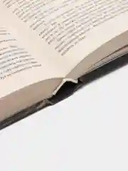 Книга "Непоседа", Сергей Лукьяненко, героическое отечественное фэнтези
