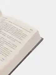 Книга "Непоседа", Сергей Лукьяненко, героическое отечественное фэнтези