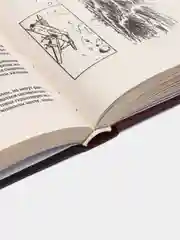 "Коммандос: Так сражается SAS", военная книга, разведка, внутренняя безопасность