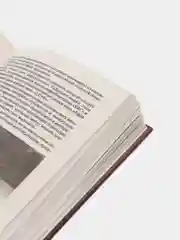 "Коммандос: Так сражается SAS", военная книга, разведка, внутренняя безопасность