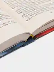Книга Ванга. Новый взгляд. Исследование феномена Ванги. Биография