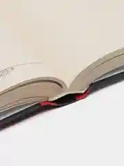 Книга Свет во тьме, С.Л. Франк. Русская религиозно-философская мысль