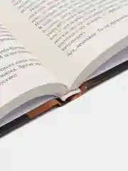 Книга Современный бодибилдинг. Максим Петров, спорт, саморазвитие для взрослых