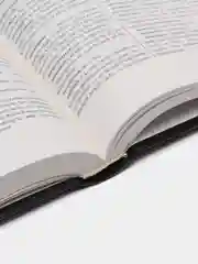 Книга Новый русско-английский словарь. Мюллер В