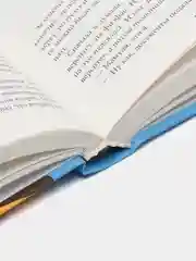 Книга Среда обитания приличной девушки. Галина Хованова, современная проза