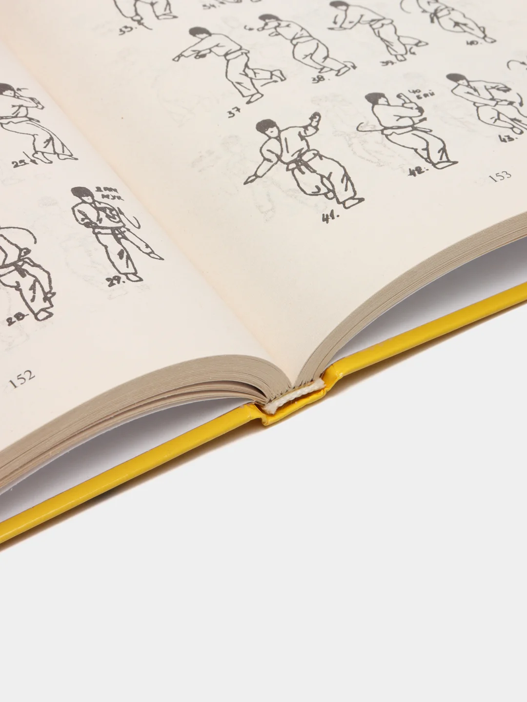 Книга Вьетводао-Вовинам: от начинающего к черному поясу, самоучитель
