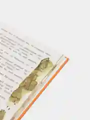 Книга для детей "Сказки. Братья Гримм"