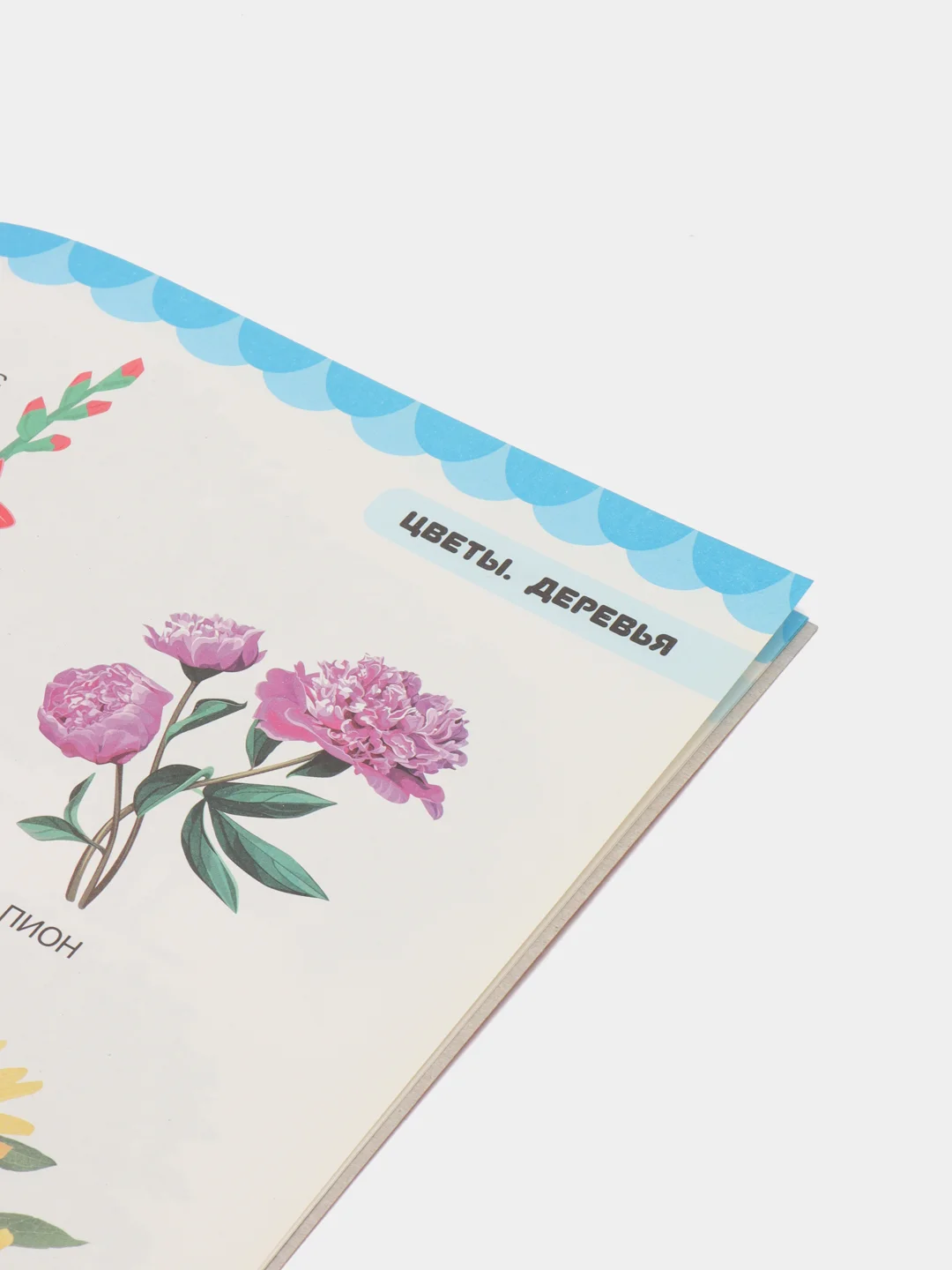 Обучающее пособие "Цветы. Деревья". Книга для занятий с детьми
