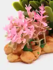Золотистый хаки растения искусственные, декоративные, для маленького аквариума, от 5 до 13 см, 43 вида