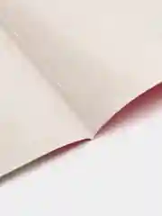 Фуксия обложка для паспорта
